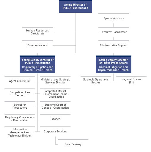 Current Organizational Structure