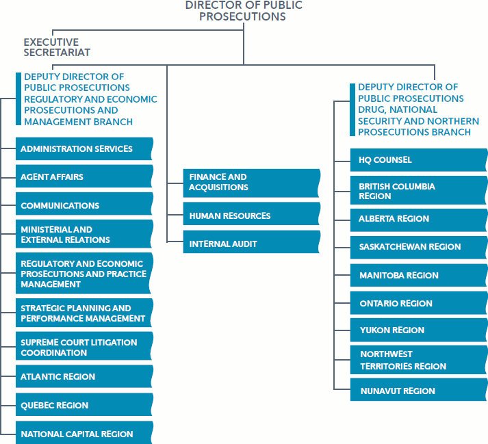 Organizational Structure graphic