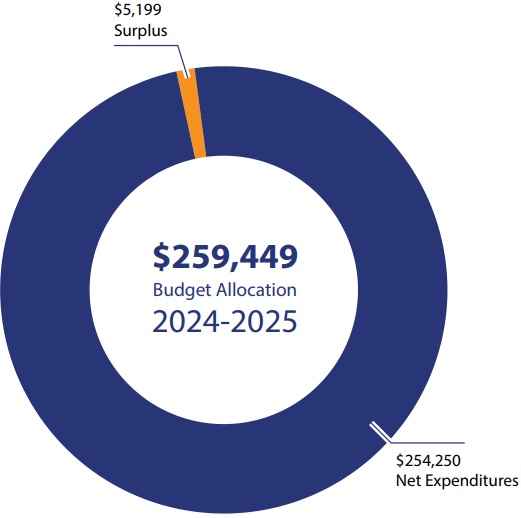 Budget Allocation 2024-2025